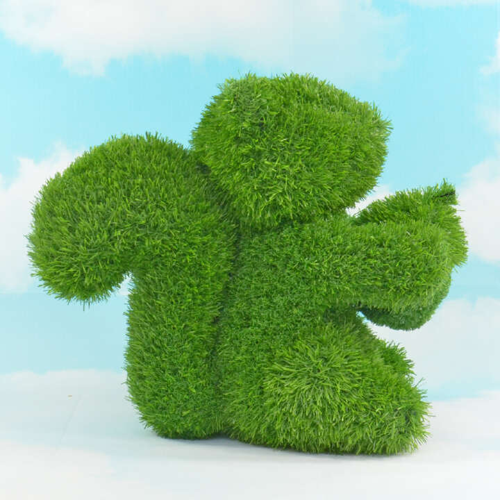 ANIPLANTS Grasfigur Eichhörnchen